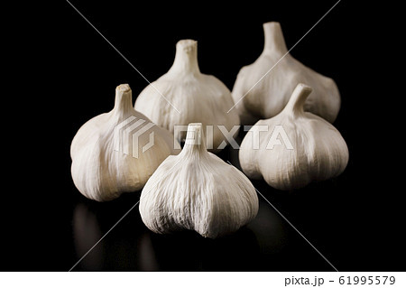 にんにく 61995579