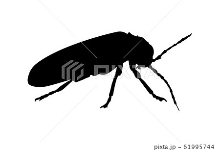 動物シルエット昆虫等ホタル1のイラスト素材 61995744 Pixta
