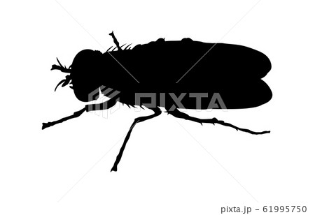 動物シルエット昆虫等ハエ3のイラスト素材