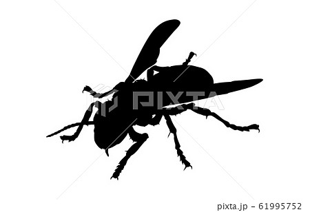 動物シルエット昆虫等ハチ2のイラスト素材 61995752 Pixta