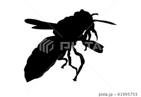 動物シルエット昆虫等ハチ3のイラスト素材