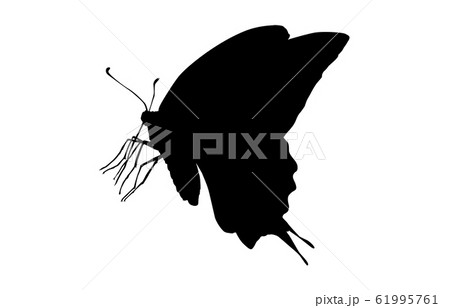 動物シルエット昆虫等チョウ4のイラスト素材