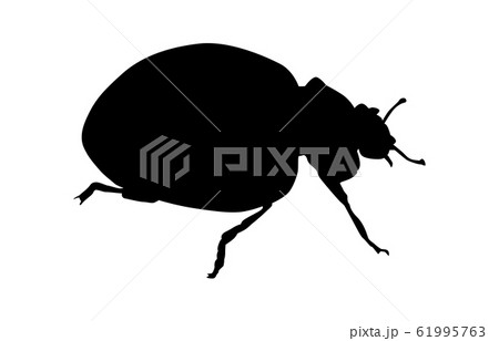 動物シルエット昆虫等テントウムシ1のイラスト素材