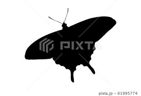 動物シルエット昆虫等チョウ2のイラスト素材