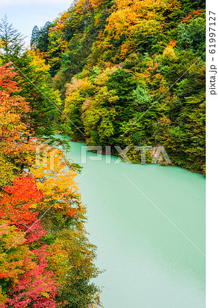 高瀬渓谷の紅葉 高瀬渓谷の紅葉 61997127