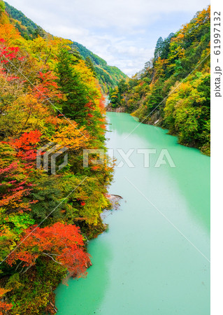 高瀬渓谷の紅葉 61997132