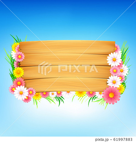 Colorful flower and wooden spring background 001 61997883