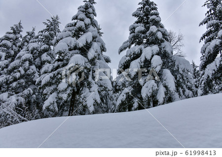 冬 大関嶺 平昌郡 61998413
