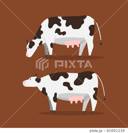 Flat Cow Vector Illustration Set Cute Cow のイラスト素材