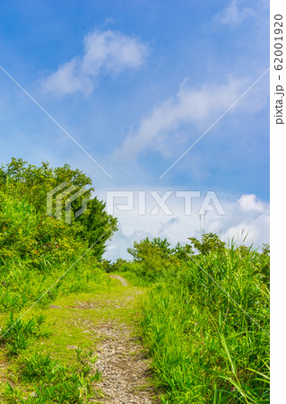 本田実がこよなく愛した秘峰『三平山』登山道の風景（岡山県真庭市蒜山本茅部）※作品コメント欄に撮影位置 62001920