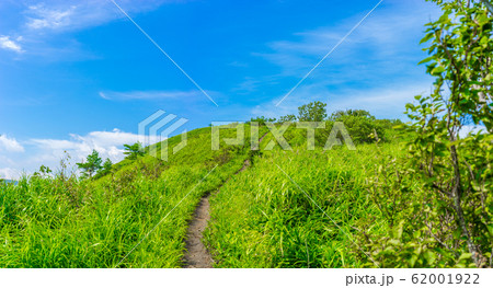 本田実がこよなく愛した秘峰『三平山』登山道の風景（岡山県真庭市蒜山本茅部）※作品コメント欄に撮影位置 62001922