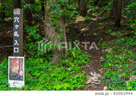 『穴ヶ乢』登山口（岡山県真庭市蒜山上徳山）※作品コメント欄に撮影位置 62001944