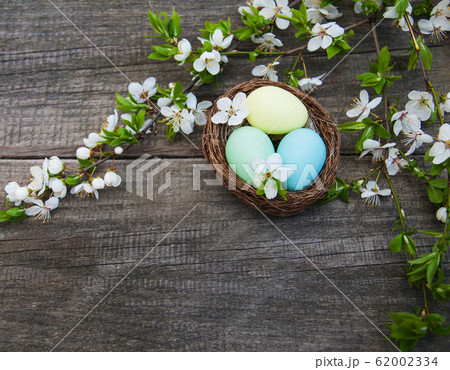 Easter eggs and spring blossom Easter eggs and spring blossom 62002334