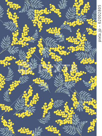 ミモザ　パターン 62002805