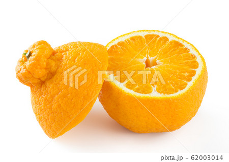 デコポン 62003014