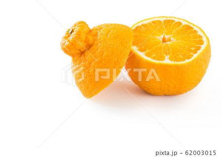 デコポン デコポン 62003015