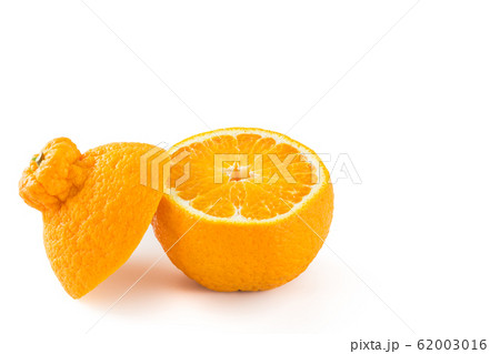 デコポン 62003016