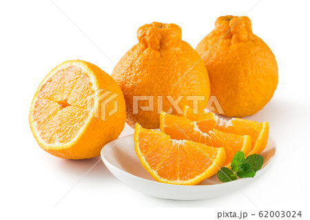 デコポン 62003024