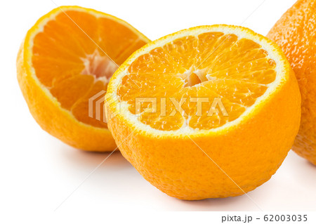 デコポン デコポン 62003035