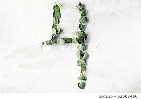 The number 4 is laid out from branches with leaves 62003486
