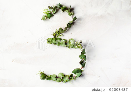 The number 3 is laid out from branches with leaves The number 3 is laid out from branches with leaves 62003487