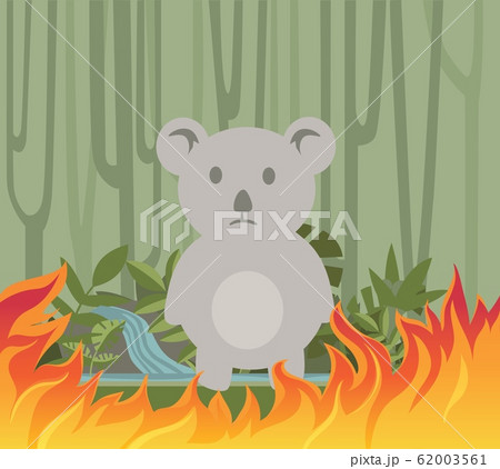 Ecological disaster. Sad koala amidst bushfire. Save koala, forest, animals, stop fire. Flat vector illustration, isolated on white background. 62003561
