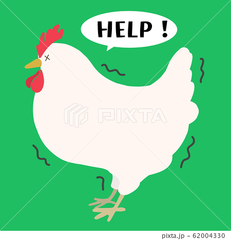 ニワトリ 鶏 Help 白 震えのイラスト素材