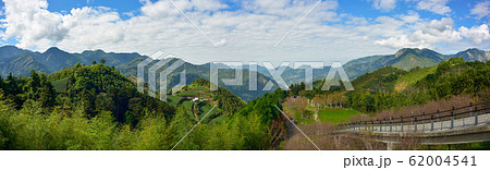 強羅 大山 木 62004541