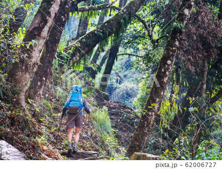Hike in Nepal jungle 62006727