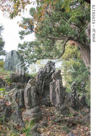 高尾山烏天狗, 不動明王（埼玉県志木市田子山富士） 62008176