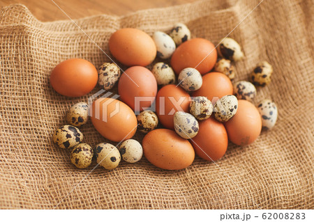Organic Bird Eggs at Farm 62008283