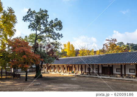 明倫堂 紅葉 青い空 62009186