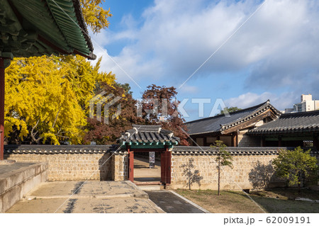 明倫堂 紅葉 青い空 62009191