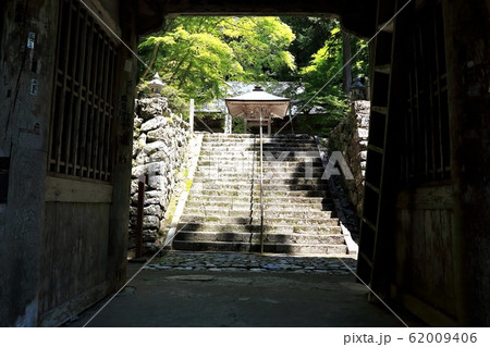新緑の両界山横蔵寺・18（岐阜県揖斐郡揖斐川町横蔵） 62009406