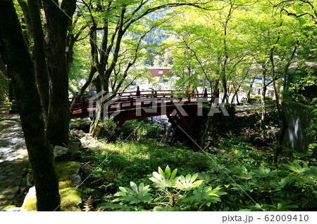 新緑の両界山横蔵寺・22（岐阜県揖斐郡揖斐川町横蔵） 62009410