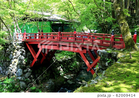 新緑の両界山横蔵寺・25（岐阜県揖斐郡揖斐川町横蔵） 62009414