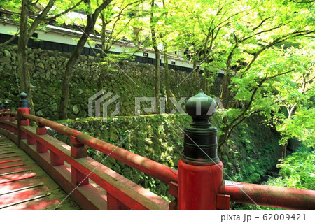 新緑の両界山横蔵寺・31（岐阜県揖斐郡揖斐川町横蔵） 62009421