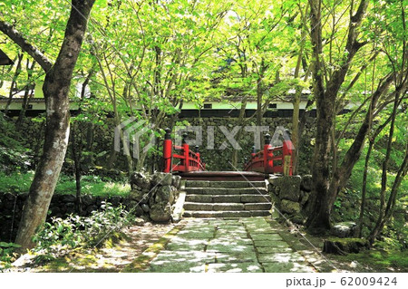 新緑の両界山横蔵寺・34（岐阜県揖斐郡揖斐川町横蔵） 62009424