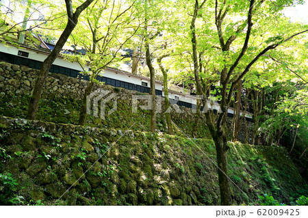 新緑の両界山横蔵寺・35（岐阜県揖斐郡揖斐川町横蔵） 62009425