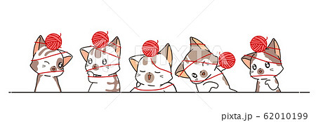 Adorable cats with yarn banner Adorable cats with yarn banner 62010199