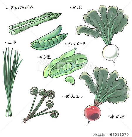 4月が旬の野菜セットのイラスト素材