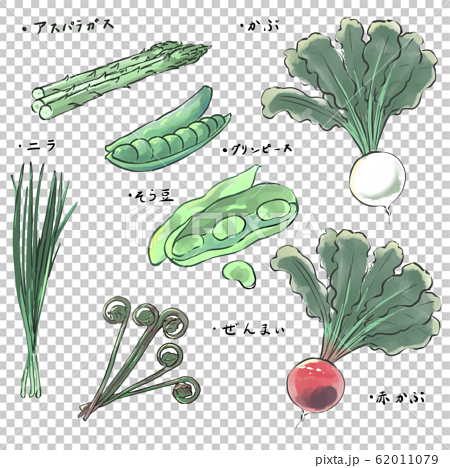 4月が旬の野菜セットのイラスト素材
