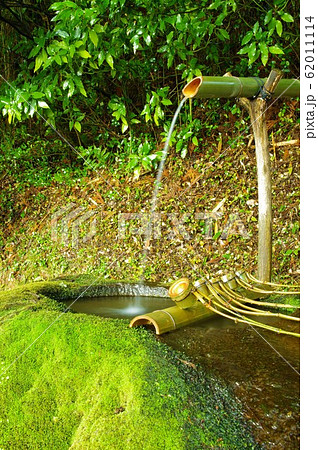 苔むす手水舎 62011114