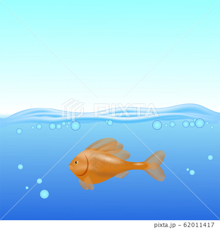 Red Fisn Swims on a Blurred Sea Background 62011417