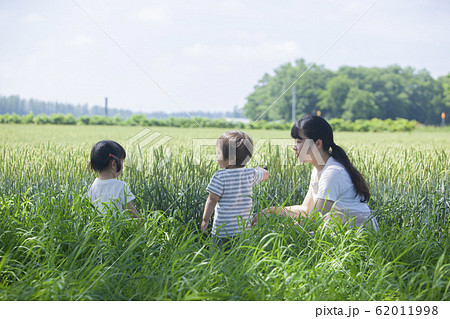 麦畑で遊ぶ親子 62011998