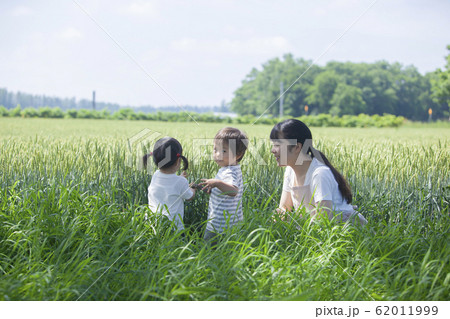 麦畑で遊ぶ親子 62011999