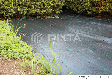 除草シート 62012024