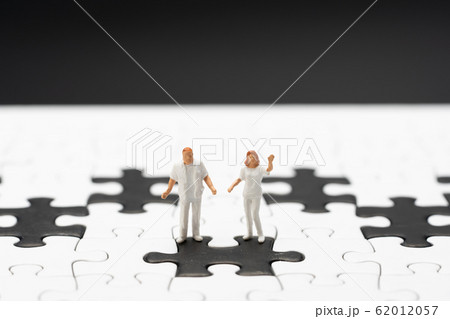 新型ウイルス感染（豚コレラ、新型肺炎、コロナウイルス） 62012057