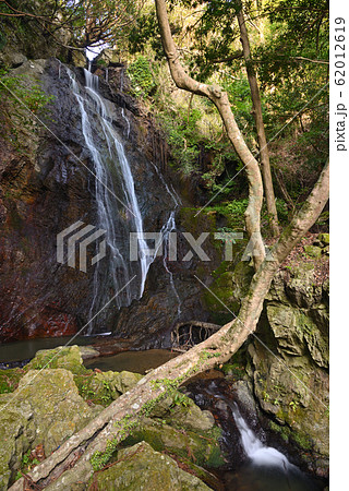 姥ヶ滝（和歌山県有田郡有田川町） 62012619