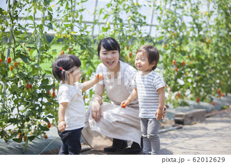 農家の親子 62012629